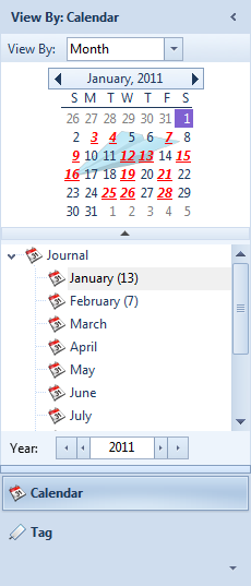 Month View for Journal